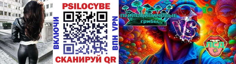 Псилоцибиновые грибы MAGIC MUSHROOMS  blacksprut ТОР  Кропоткин 