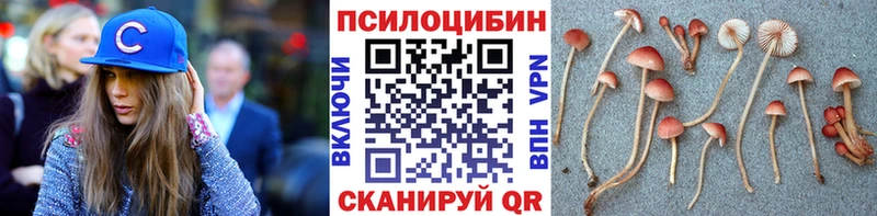 Галлюциногенные грибы ЛСД Кропоткин