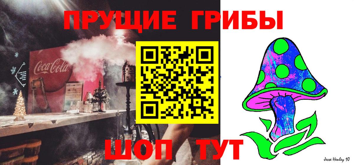 Галлюциногенные грибы прущие грибы Кропоткин